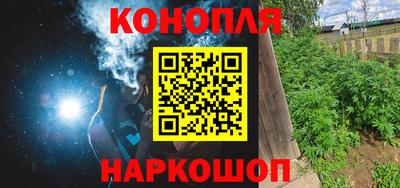 индика Можайск