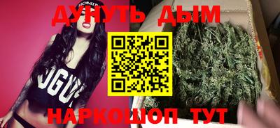 индика Можайск