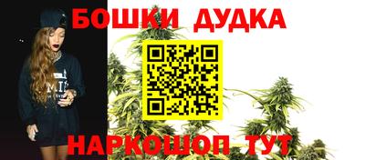 индика Можайск