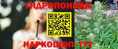 сатива Можга