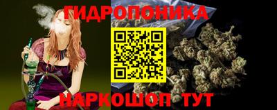 индика Можайск