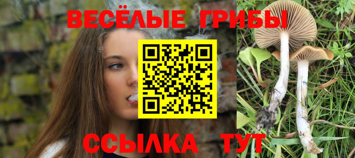 Псилоцибиновые грибы MAGIC MUSHROOMS  где можно купить   Углич  Галлюциногенные грибы мухоморы  Вход с VPN 